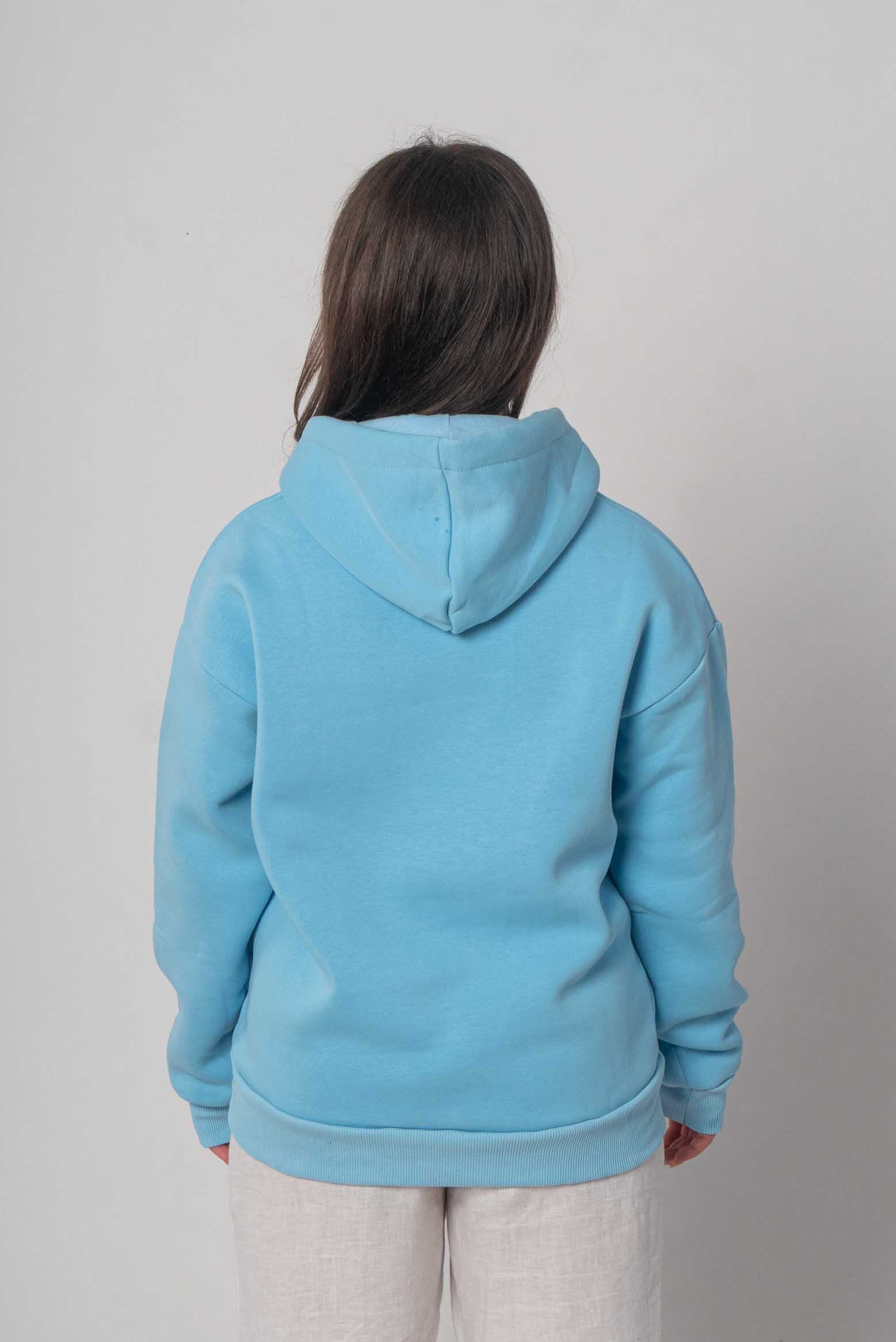 Flair Basic Moin Hoodie/Sweatshirt - Hellblau/Pink